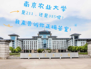 1763003892519115.png image.png